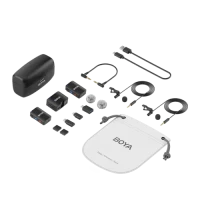Boya Boyamic All-In-One Wireless Microphone with Onboard Recording